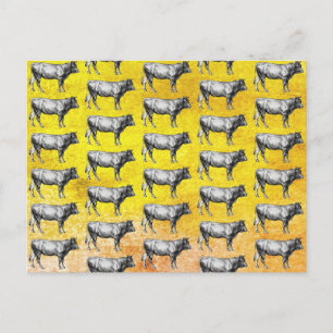 Vintage Farm Kuh Stier Bild Postkarte