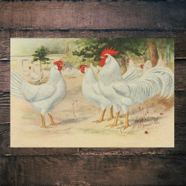 Vintage Farm Roosters Single Comb White Leghorns Seidenpapier
