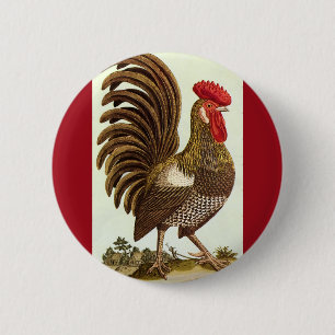 Vintage Farm-Tiere Hühner, stolzer Hahn Button