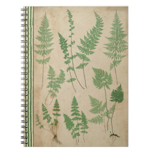 Vintage-Farn-Botanik-Notizbuch Natur-Journal  Notizblock