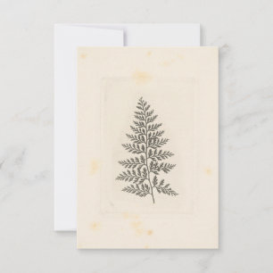 Vintage-Farn-Korrespondenz-Waldlandschaft-Natur Mitteilungskarte