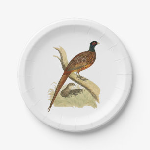 Vintage-Fasan auf Ast-Jagdvogel-Zeichnung Farbe Pappteller