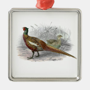 Vintage Fasan Jagdvogel Zeichnung Farbe #2 Ornament Aus Metall