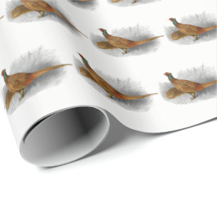 Vintage Fasan Jagdvogel Zeichnung Farbe #3 Geschenkpapier