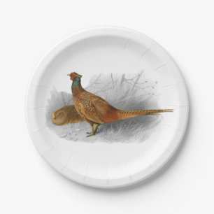 Vintage-Fasan-Jagdvogel-Zeichnung Farbe #3 Pappteller