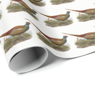 Vintage Fasan Jagdvogel Zeichnung Farbe Geschenkpapier