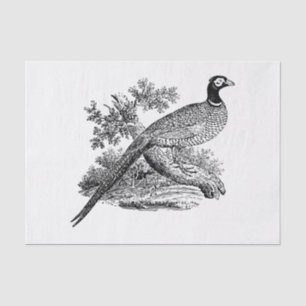 Vintage Fasan Jagdvogel Zeichnung SW Seidenpapier
