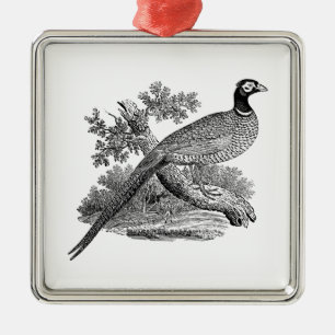 Vintage Fasan Jagdvogel Zeichnung SW Silbernes Ornament
