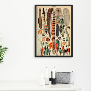 Vintage-Feather Art von Pflaumen 1910 Französisc Poster