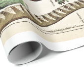 Vintage Feathers Birds Alte Illustration Kunst Geschenkpapier (Rolleneckpunkt)