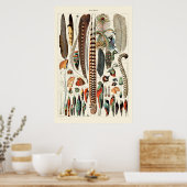 Vintage Feathers von Adolphe Millot Poster (Küche)