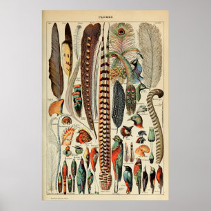 Vintage Federdruckplatten Mauerwerk Poster