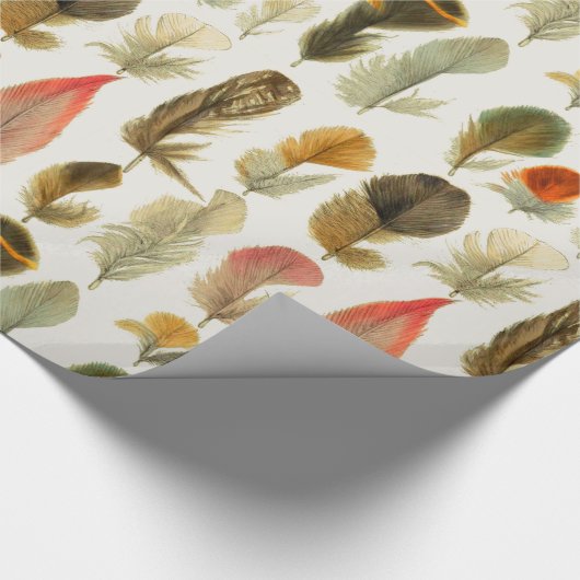 Vintage Federn Geschenkpapier (Ecke)