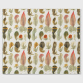 Vintage Federn Geschenkpapier (Flach)