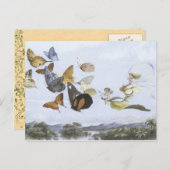 Vintage Fee Postkarte (Vorne/Hinten)