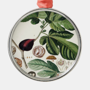 Vintage Feigen-botanischer Druck Ornament Aus Metall