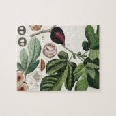 Vintage Feigen-botanischer Druck Puzzle (Horizontal)