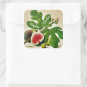 Vintage Feigen Hochzeit Personalisiert Quadratischer Aufkleber (Tasche)