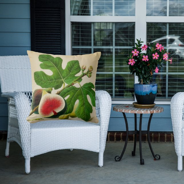 Vintage Feigen Kissen (Von Creator hochgeladen)