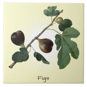 Vintage-Feigenfrucht-Botanik-Art Keramikfliese