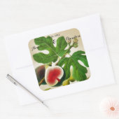 Vintage Feigling Quadratischer Aufkleber (Umschlag)