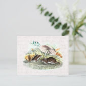 Vintage Feldmäuse mit Pilzen alte Retromäuse Postkarte (Stehend Vorderseite)