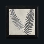 Vintage Ferns Erinnerungskiste<br><div class="desc">Vintage Fern Studie III von Vision Studio. Zwei Vintag aussehende Farne vor einem antiken Hintergrund.</div>