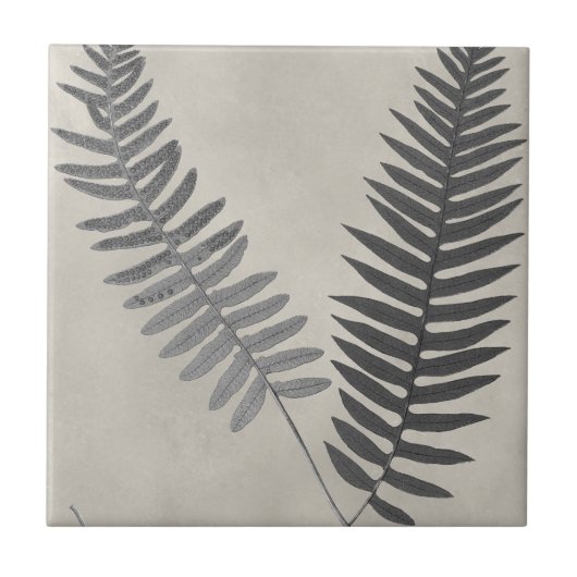 Vintage Ferns Fliese (Vorderseite)