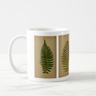 Vintage Ferns Kaffeetasse