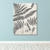 Vintage Ferns Leinwanddruck (Insitu (Holzboden))