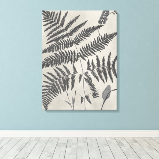 Vintage Ferns Leinwanddruck (Insitu (Holzboden))