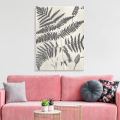 Vintage Ferns Leinwanddruck (Insitu (Wohnzimmer))