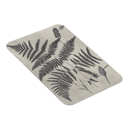 Vintage Ferns Magnet (Rechte Seite)