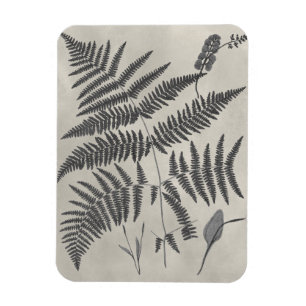 Vintage Ferns Magnet