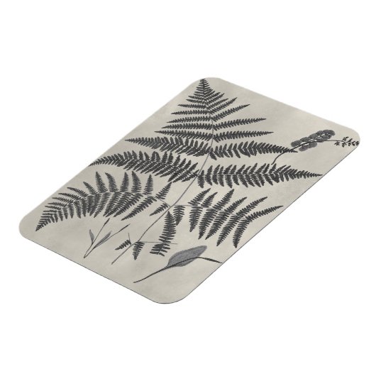 Vintage Ferns Magnet (Linke Seite)