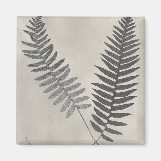 Vintage Ferns Magnet (Vorne)