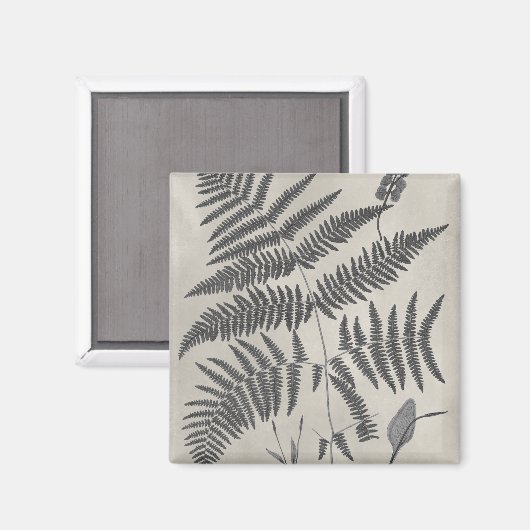 Vintage Ferns Magnet (Vorderseite/Rückseite)