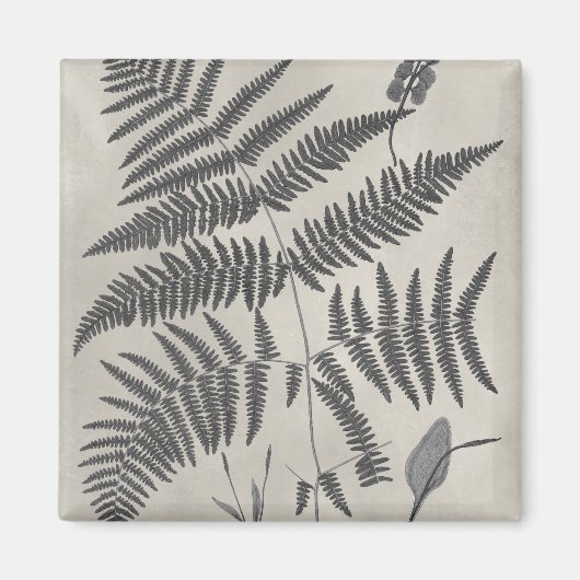 Vintage Ferns Magnet (Vorne)