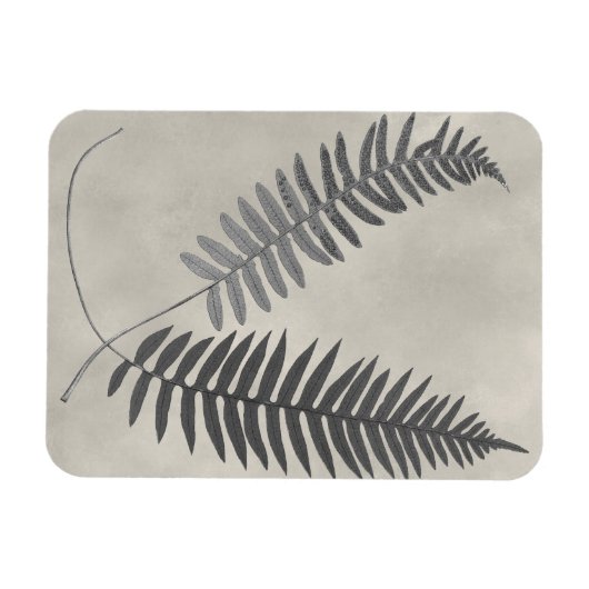 Vintage Ferns Magnet (Horizontal)