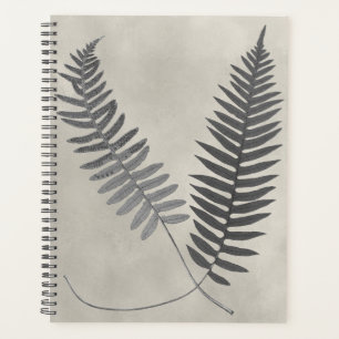 Vintage Ferns Planer