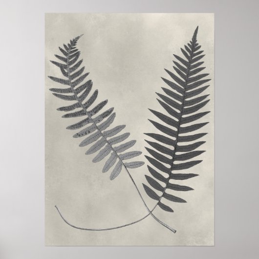 Vintage Ferns Poster (Vorne)