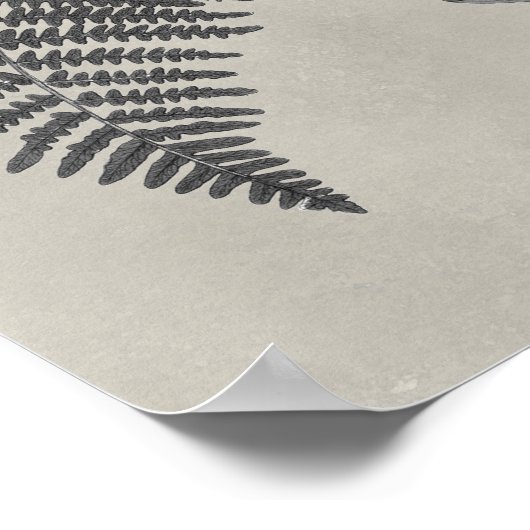 Vintage Ferns Poster (Ecke)