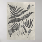 Vintage Ferns Poster (Vorne)