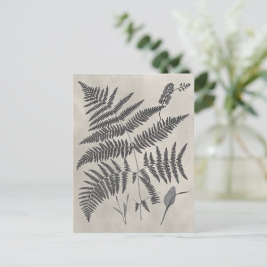 Vintage Ferns Postkarte (Stehend Vorderseite)