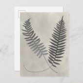 Vintage Ferns Postkarte (Vorne/Hinten)