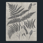 Vintage Ferns Puzzle<br><div class="desc">Vintage Fern Studie IV von Vision Studio. Vintage Farne vor einem antiken Hintergrund.</div>