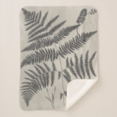 Vintage Ferns Sherpadecke (Vorderseite)