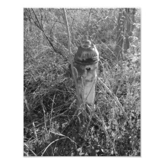 Vintage Feuerhydrant Fotodruck