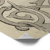 Vintage Fidschi-Karte (1869) Poster (Ecke)