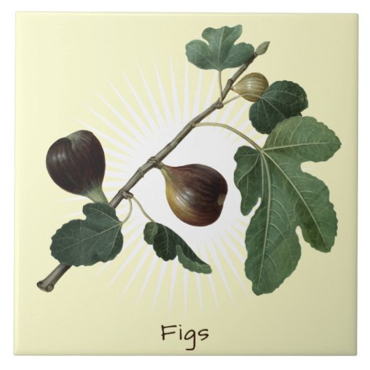 Vintage Fig Frucht Botanische Keramik Tile Fliese (Vorderseite)